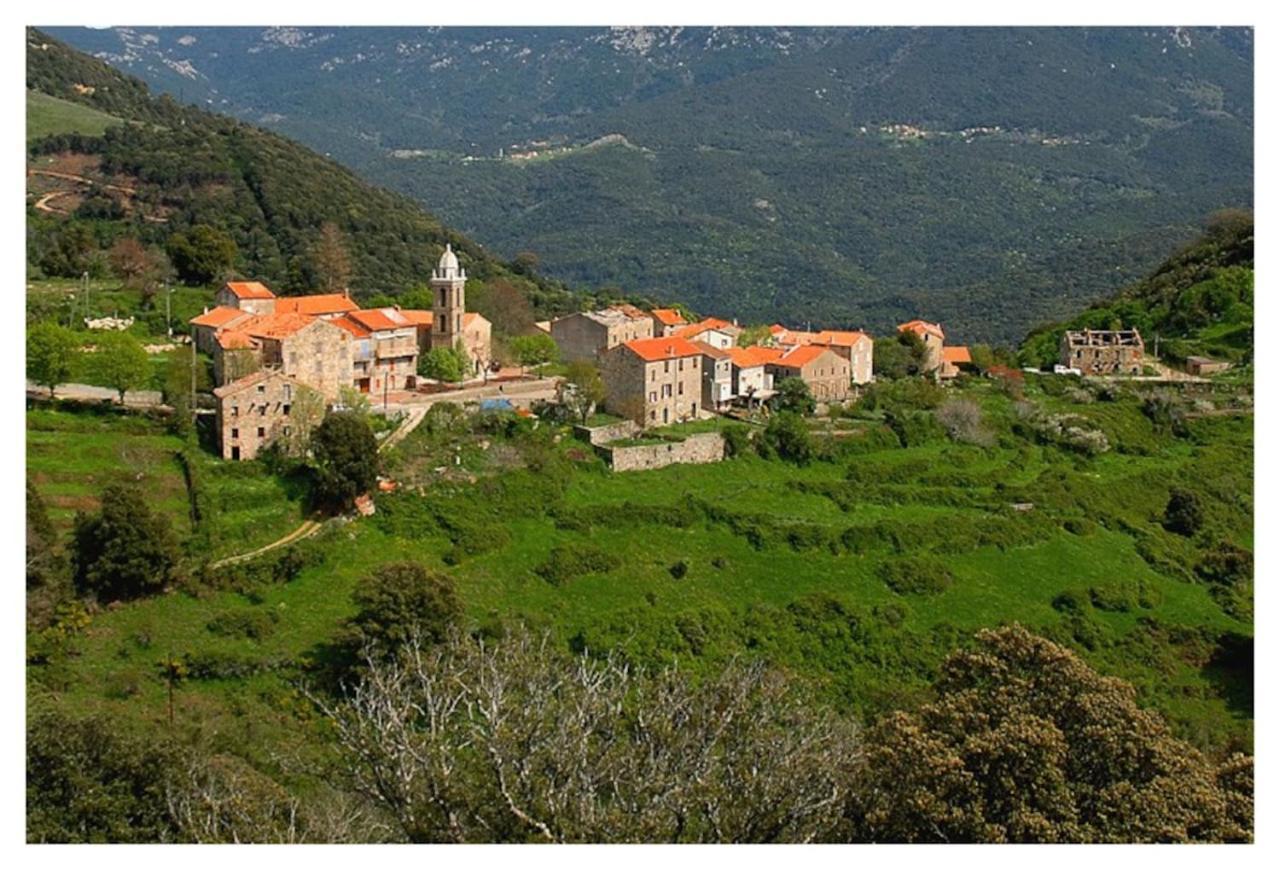 Casadimela Villa Porto-Vecchio  Ngoại thất bức ảnh